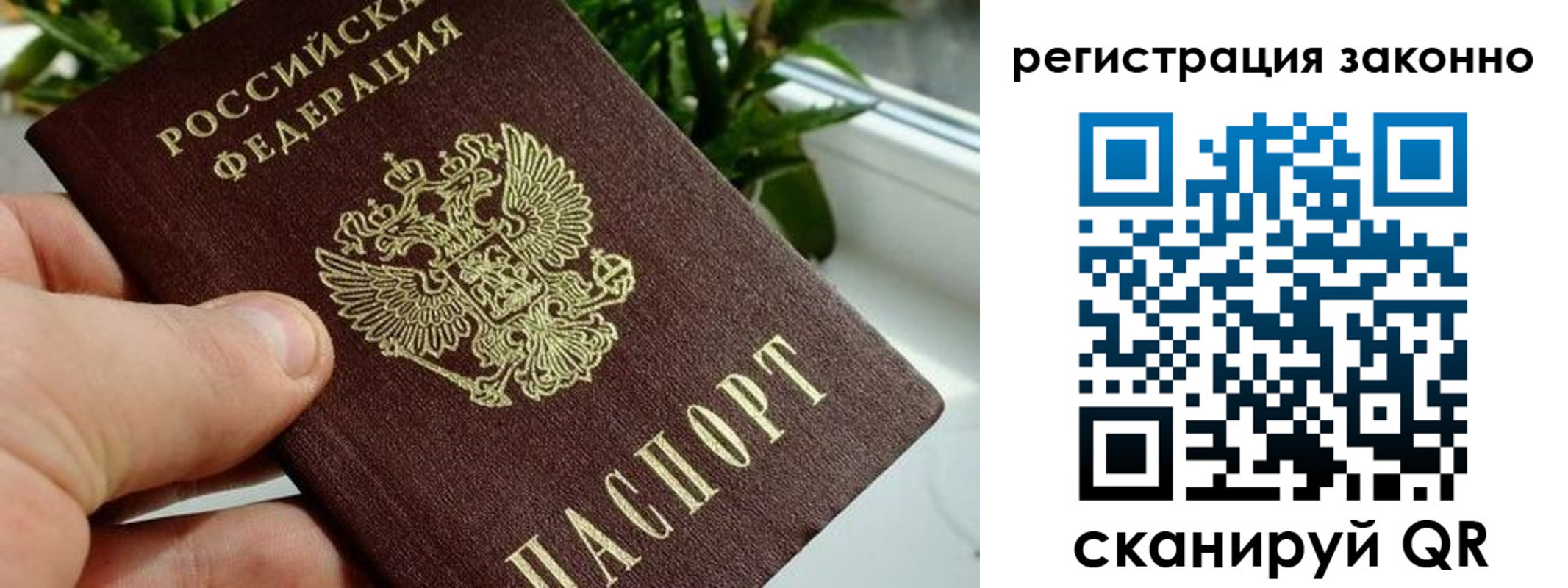прописка гарантия в Зверево
